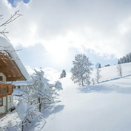 Apartamento Oberschartlhof Flachau